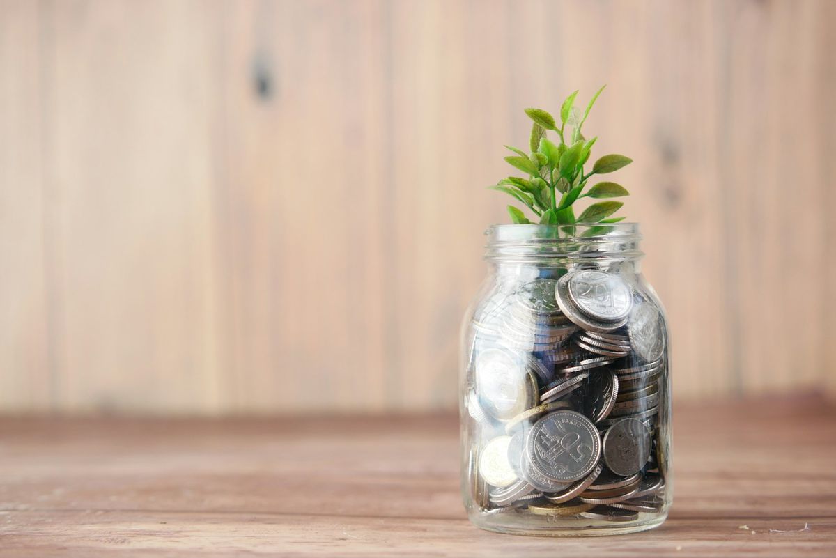 Sparepenger og en liten plante som vokser i et glass med mynter